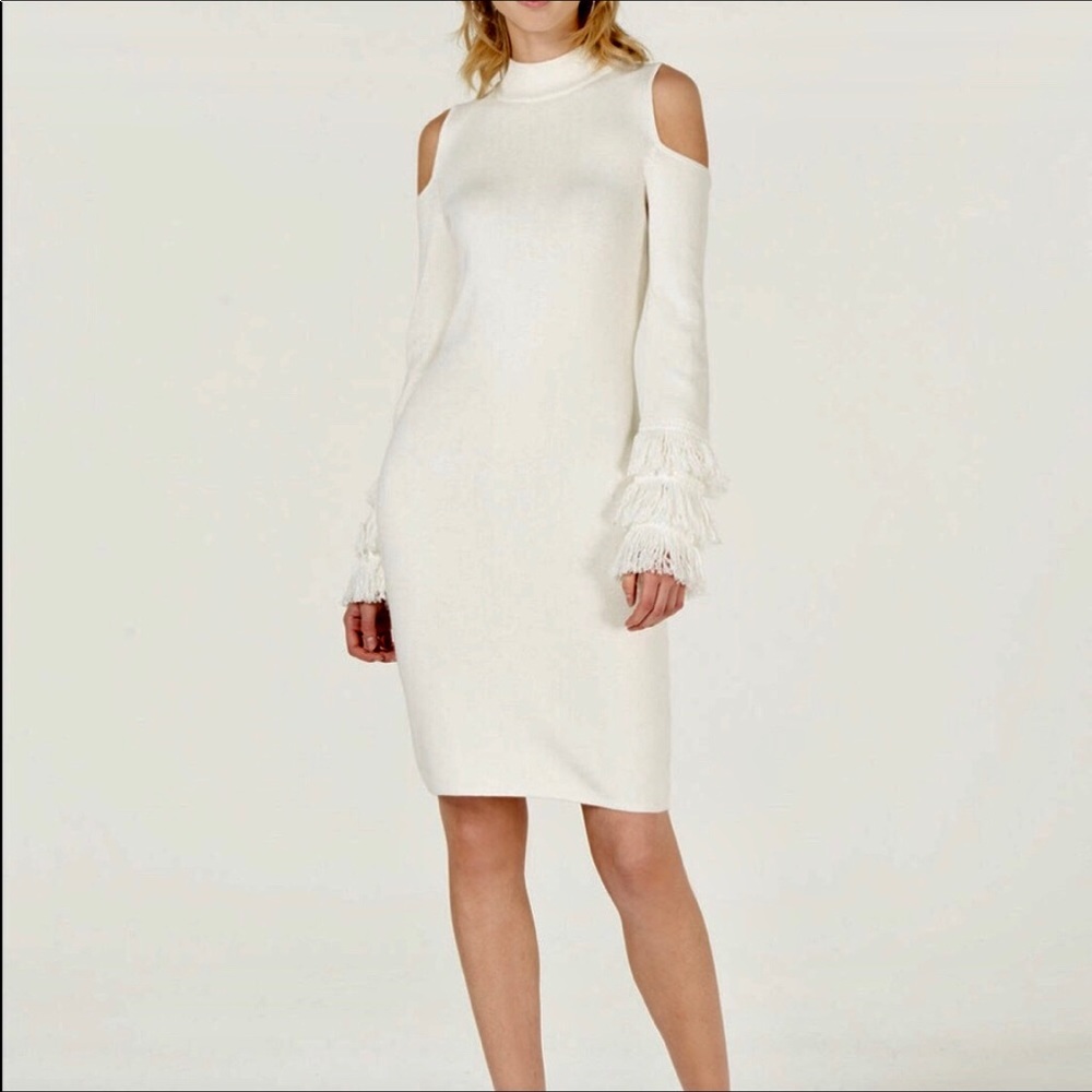 Bar III Dress
